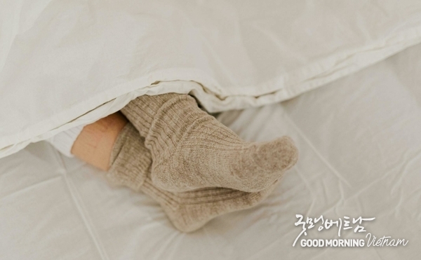 온라인 카지노 합법 사이트