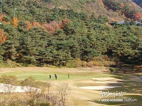 온라인 카지노 추천