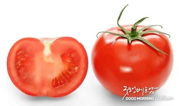 샌즈 카지노 사이트