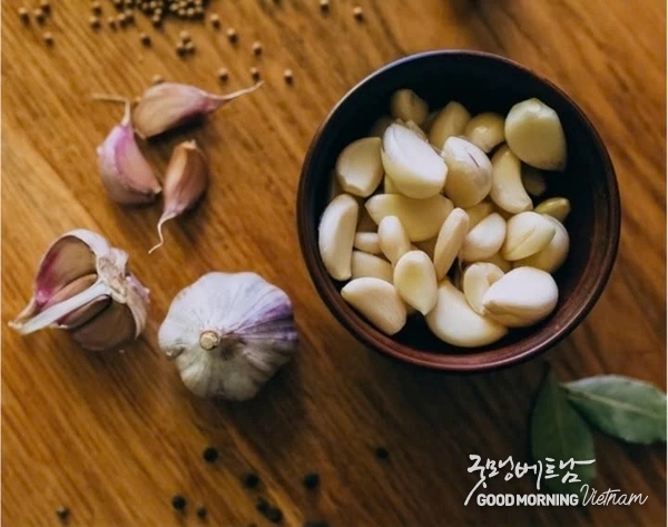 온라인 카지노