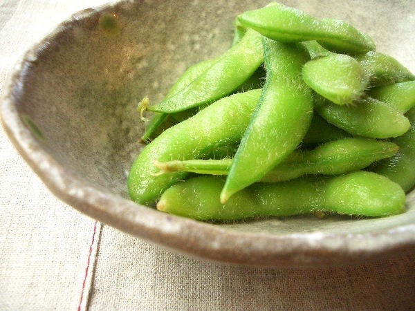 카지노