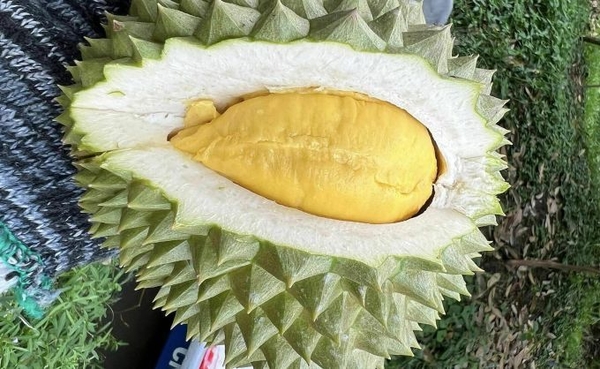 우리 카지노