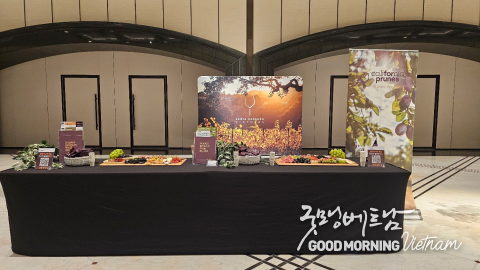 온라인 카지노 합법 사이트