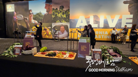 온라인 카지노 합법 사이트