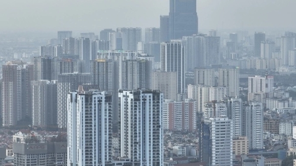 카지노 사이트 추천