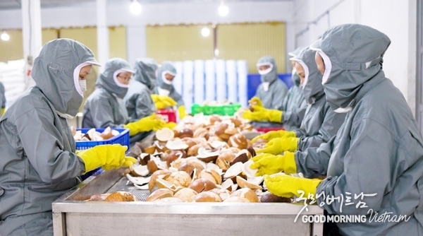 우리 카지노추천