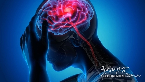 카지노 사이트 추천