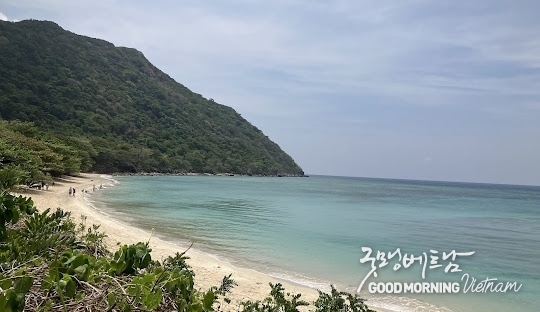 카지노 룰렛 사이트