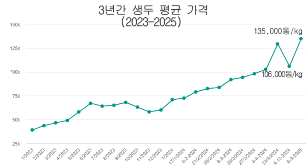 우리 카지노