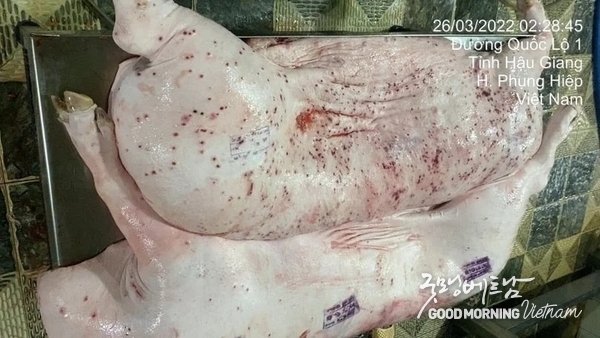 이 사건과 관련된 "병든" 돼지고기 사진이 소셜 미디어에 유포되고 있다. 