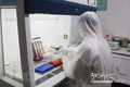 베트남, 사스-CoV-2 테스트 키트 생산 성공
