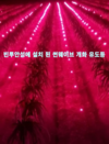 [썬웨이브] 베트남에 용과 개화 유도 촉진하는 LED 광원 4만개 오더 수주