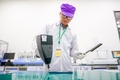 [스마트폰] 베트남 산 5G 지원 스마트폰 공장 내부 사진