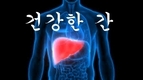 [건강] 간이 좋아하는 8가지 음식