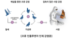 세계보건기구는 베트남에 H5N8 조류독감 변종을 경계하라고 경고했다.