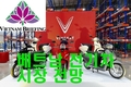 [베트남브리핑] 베트남의 전기차 시장에 눈을 돌려라