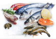 [수산물] 한국으로 수산물 수출량 소폭 증가, 3번째 수산물 공급국