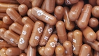 [코비드-19 치료약] FDA 전문가 패널, 머크사의 몰누피라비르 치료 권고