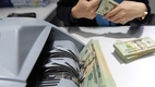 해외로부터 송금액 새로운 기록을 세우다.