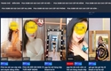 섹스 투어 라인 해체, 상류층 콜걸들은 소셜 네트워크에 수천 명의 회원을 보유