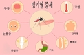 뎅기열 환자 급증, 30명 사망