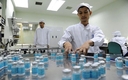 베트남산 아프리카 돼지열병 백신주사, 2022년말까지 진행