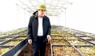 베트남 2030년까지 20만헥타르의 파낙스 인삼 재배