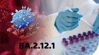 베트남에 나타난 오미크론 BA.2.12.1의 일반적인 증상