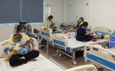 [하노이] 뎅기열 발병, 다음 두 달 안에 절정 예상