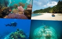 베트남 최고의 다이버 장소 4곳