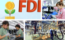 [FDI] 희토류, 반도체, 베트남 GDP 5~10% 기여 가능
