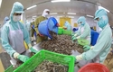 베트남 수산물 수출액 전년 동기 대비 18% 감소한 90억달러