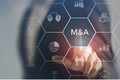 베트남 M&A 사업 관련 최신 정보