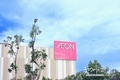 [소매산업] 베트남에서 10년간 지속된 이온(Aeon)몰의 사업 현황