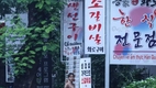 [닛케이아시아] 베트남의 붐비는 코리아타운, 틈새 시장을 육성