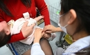 홍역이 베트남 전역에서 발생하는 이유는?