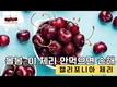 캘리포니아체리협회x만나몰, 체리요리법을 담은 e레시피북 발간
