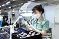 삼성 베트남의 위력, 2024년 베트남 GDP 13% 차지