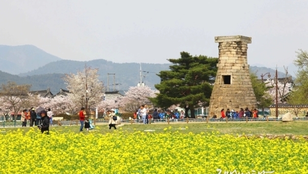 베트남-한국 관광 교류 급성장…2025년 상반기 5백만 돌파