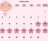 9일 뗏 연휴 제안…2026년 2월 14~22일
