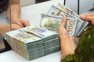 [환율] 11월 12일: 달러 국내 가격 동반 상승…미 고용지표 약세에도, 월초 대비 25동↑