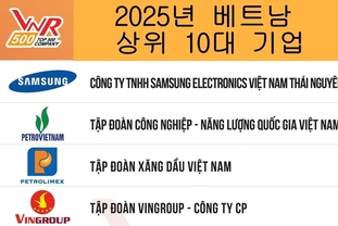 [인포그래픽] 2025년 베트남 최대 상위 10대 기업, 삼성 베트남 공장 선두