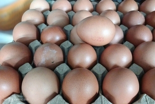 홍수·장마로 계란 가격 폭등…호치민 개당 3,800~8,000동, 작년 대비 25~30↑