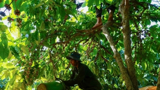 올 농수산물 수출 급증, 11개월 만에 작년 기록 경신