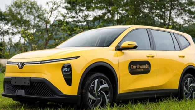 빈패스트, 11월 자동차 판매 대세, 현대차는 급격히 감소