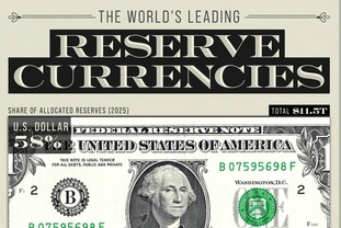 [인포그래픽] 세계에서 가장 강력한 기축통화