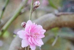 설 연휴 베트남 북부 ‘한파 지속’… 남부는 건조한 더위