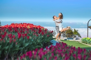 다낭 2025-젊은 여행객 트렌드에 주목하고 디지털 플랫폼을 통한 입지 강화