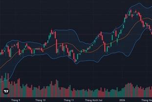 주요 종목 하한가 속출…빈그룹 VN-지수 하락 방어