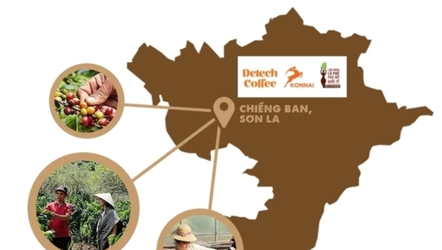 [F&B] 베트남의 풍미, 세계적인 비전: 디텍 커피 이야기